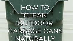 How to Clean Outdoor Garbage Cans Naturally