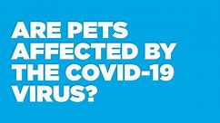 Pets & COVID-19
