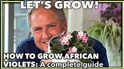 AFRICAN VIOLETS THE COMPLETE GUIDE