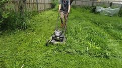 Overgrown Lawn Mowing With Push Mower. CHEST Height Grass!