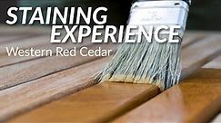 Staining Experience: Western Red Cedar