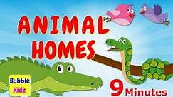 Learn About Different Animal Names And Homes | Animal Names And Homes For Kids