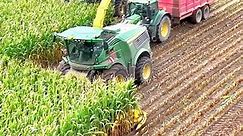 Two John Deere 9900i forage harvesters working in a field loading into one trailer while the others came back from the clamp which was located elsewhere. | Simply Agri by Pro Horizon