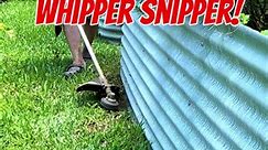 Perfect edges every time!!! 😁👍🤠 A whipper snipper, also known as a weed eater, a string trimmer or a line trimmer, is a common garden tool used to trim the edges of lawns, paths and garden beds. These versatile tools use a durable nylon cord or blade rotating at high speeds to cut and trim grass and weeds to the desired level. While the origins of the whipper snipper are unclear, it is widely believed to have been developed in the United States in the 1970s. However, the tool has become a ubi