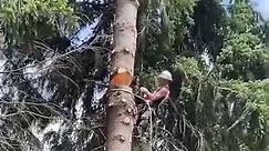 #arboriculture #forestryequipment #nature #axe #arborists #logs #tree #trees #timberfalling #woodworking #skidder #treeworker #chainsaws #fellerbuncher #fallingfriday #johndeere #loggingequipment #arboristfail #heavyequipment #lumber #forstwirtschaft #skidders #woodmizer #harvester #construction #caterpillar #tigercat #bclogging #forestrymachinery #possessed | Hardin Quality Arborist