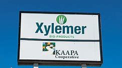 Former Mead Lumber building being transformed into Xylemer BioProducts’ manufacturing plant