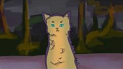 Warrior cats, short animation (slightly sad)