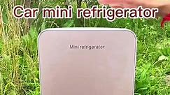 Mini refrigerators are cheap and easy to use #goodthing #tiktok #foryou #life