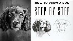 Easy Step by Step Guide for Drawing a Realistic Dog