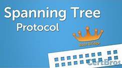 Spanning Tree Protocol Explained | Step by Step