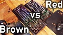 Brown Switches vs Red Switches: Which One to Choose?