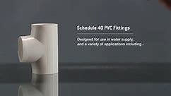 Charlotte Pipe 3/4 in. PVC Hub x Hub Condensate P- Trap PVC 02700 0800HD
