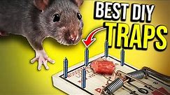BEST DIY RAT TRAPS THAT WORK!! $1000 Rat Trap Challenge...best rodent removal..