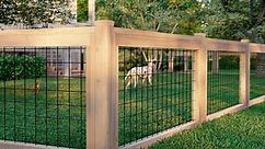 10 Unique DIY Fence Ideas