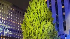 The Rockefeller Center Christmas Tree Lighting 2023 🎄 34° | Tangola Groups
