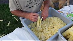 How To Freeze Sweet Corn (From a real Farmer)