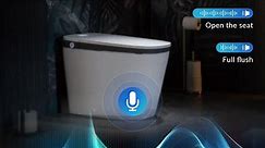 WOODBRIDGE B0931S Smart Bidet Toilet with Auto Open & Close, Foot Sensor Flush and Voice Control