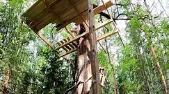 full 30 days to make a wooden house on a tree. #treehouse #build #building #camp #camping #bushcraft #shelter #survival #primitive