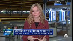 Record Cyber Monday sales expected