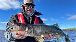 Fall Walleye Fishing in Northern Minnesota