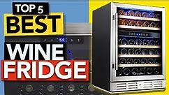 ✅ TOP 5 Best Wine Fridge 2024 | Budget Wine Cooler review