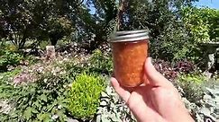 Raspberry Harvest + Jam, Planting Some 2024 Shrubs & Aaron Talks Lawn Fertilizer! - video Dailymotion