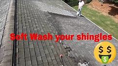 Soft Wash Roof Cleaning. [Best Roof Wash Method]