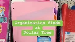 Some awesome new home organization at Dollar Tree including paper organization #dollartreefinds #dollartreeshopping #organizationatdollartree #taxfilingorganizers #dollartree #newatdollartree | Vanessa Vendetti