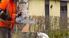 Quit Struggling - How To Fell a Tree Using a Chainsaw and a TreeJack