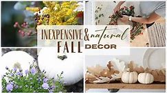 Natural Fall decor ~ DIY Fall Decorations ~ Inexpensive Fall Decor ~ Decorate for Fall ~ Fall Decor