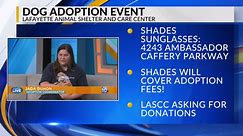 Shades Sunglasses, Lafayette Animal Shelter to host dog adoption event