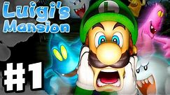 Luigi's Mansion - 3DS Gameplay Walkthrough Part 1 - Area 1 - Chauncey (Nintendo 3DS)