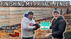 Paying a PRO to Build My MASSIVE Privacy Fence With EGGS?! (Eggstreme Fence Build)