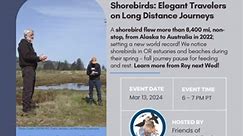 Join us Wednesday, Mar 13, at 6 pm for the next Nature Talk presentation! Roy Lowe, former USFWS Project Leader for the OR Coast National Wildlife Refuge Complex will engage us about shorebirds, volunteer opportunities and international conservation efforts! Free, no registration, snacks & tea provided. Hosted with the Cannon Beach Chamber of Commerce. #shorebirds #oregoncoast #cannonbeach #naturetalks | Friends of Haystack Rock