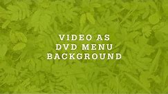 How To Make Video As DVD Menu Background In DVDStyler
