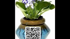 African Violet Pot Containers