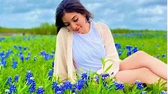 The bluebonnet is the state flower of which state? #quiz #usa #travel #texas #flowers