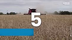 5 biggest harvesters