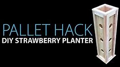 DIY Strawberry Planter - Project 15