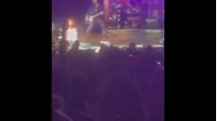 Shania Twain falls at concert