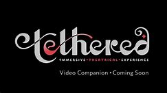 Tethered 2024: Video Companion