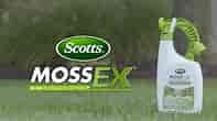 How to Get Rid of Moss, Algae, and Lichens Using Scotts® MossEX™ 3-in-1 Ready-Spray®