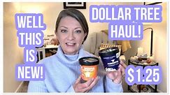 DOLLAR TREE HAUL | $1.25 | This Is New | Fantastic Finds | THE DT NEVER DISAPPOINTS 😁