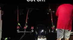 SeaArk Boats Slunger Cat Outdoors Boss Kat Smooth Moves Seats X-Treme Bait Tanks Catch The Fever #catfishing #tipsandtricks #fishingislife | Slunger Cat Outdoors