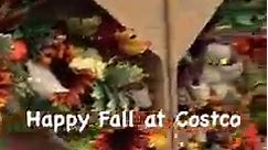 #Fall2022 #fallvibes #fall #falldecor #pumpkins #pillows #wreaths #sunflowers #costco #CostcoFinds Costco | The Passionate Painted Lady