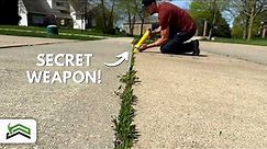 Weed-Free Driveways and Sidewalks: The Ultimate Solution!