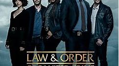 Law & Order: Organized Crime: Season 3 Episode 21 Shadowërk