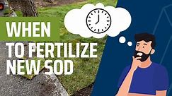 When to Fertilize New Sod | The Best Fertilizer for New Sod