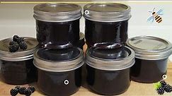 Simple Blackberry Jelly or Jam | How to Make in 4 Easy Steps