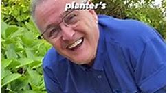 How to get the best from your planters #autumn #spring #christmas #bulbs #springflowers #plant #gardening #gardentipsforbeginners | Dave The Plantman
